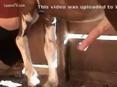 A farmer's hole is blasted by a giant horse's knob.